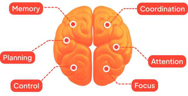 Brain Image